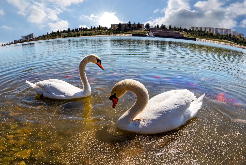 أفضل المناطق السياحية في أذربيجان وجولة مثيرة في هذا البلد الرائع