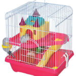 أرخص مكان بيع مستلزمات القطط  ( saifpets)